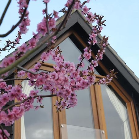Superb Stokesby Barn Apartment - Norfolk Broads & Norwich Eksteriør billede