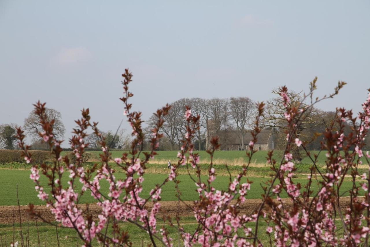 Superb Stokesby Barn Apartment - Norfolk Broads & Norwich Eksteriør billede